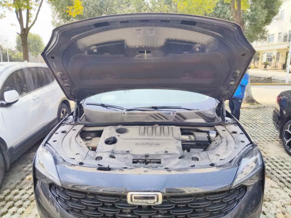 [苏州·苏U] 二手观致观致72020款 1.6T 护航精英型