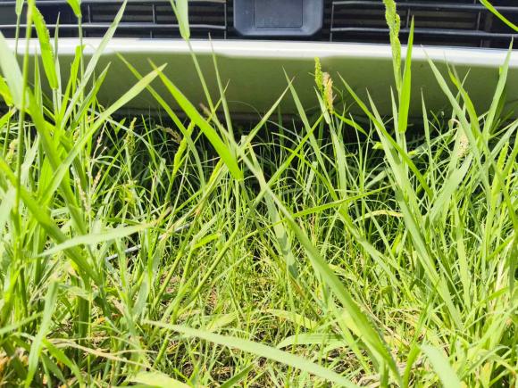 [苏州·苏U] 二手吉利汽车博越2020款 1.8TD DCT智慧PRO