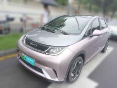 [深圳·粤B]比亚迪&nbsp;&nbsp;海豚&nbsp;&nbsp;2021款 405km 时尚版