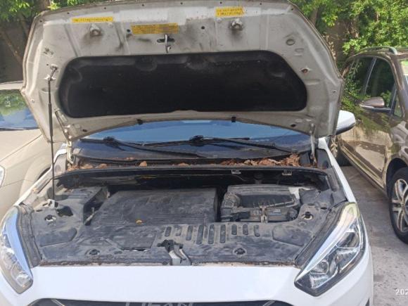 [上海·皖F] 二手力帆汽车轩朗2017款 2.0L CVT舒适型