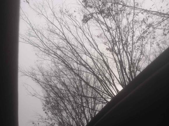 [湖州·浙E] 二手起亚起亚K22011款 三厢 1.6L AT Premium