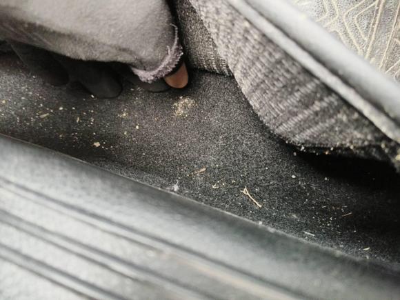 [合肥·皖A] 二手思皓花仙子2021款 302km 豪华型 31.4kWh