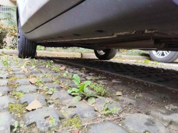 [苏州·苏U] 二手荣威荣威RX32018款 1.6L CVT旗舰版