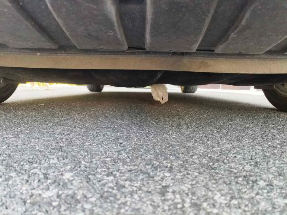 [上海·沪C] 二手福特福克斯2015款 两厢 EcoBoost 180 自动运动型