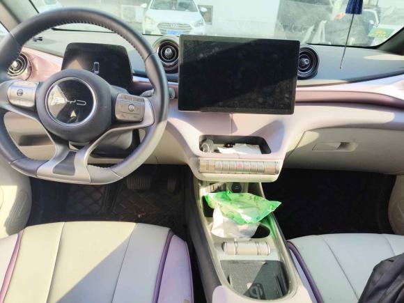 [常州·苏D] 二手比亚迪海豚2021款 405km 时尚版