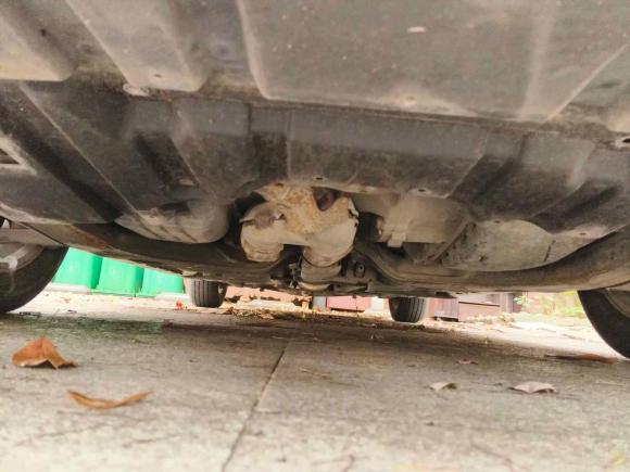 [武汉·鄂A] 二手日产天籁2008款 2.5L XL领先版