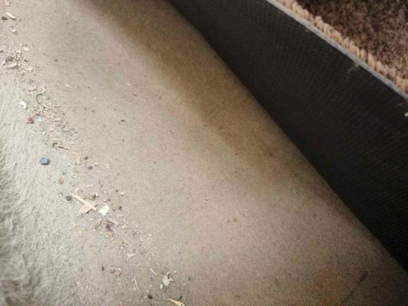 [嘉兴·浙F] 二手大众Passat领驭2009款 1.8T 自动尊品型