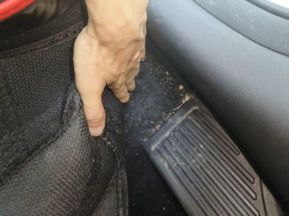 [嘉兴·浙F] 二手长安逸动2020款 PLUS 蓝鲸NE 1.4T GDI DCT旗舰型