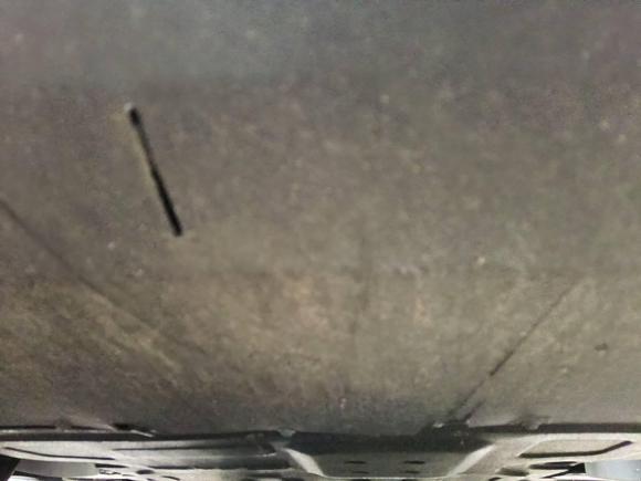 [合肥·皖A] 二手比亚迪海豚2021款 401km 骑士版