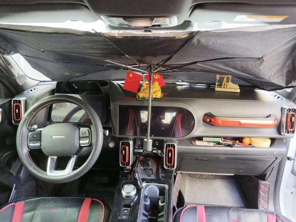 [常州·新J] 二手哈弗哈弗大狗2021款 1.5T DCT两驱边牧版