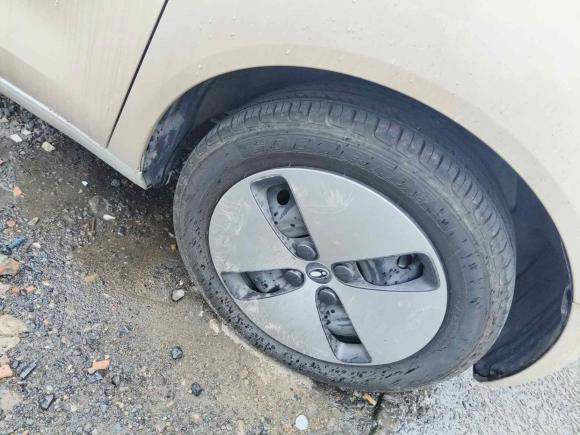 [杭州·浙A] 二手欧拉欧拉黑猫2021款 301km 萌宠版