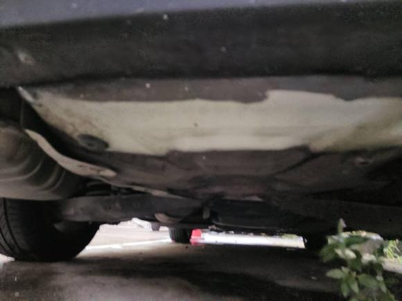 [杭州·浙A] 二手斯柯达明锐2009款 1.6L 自动逸仕版