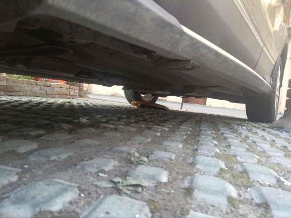 [芜湖·皖B] 二手福特翼虎2013款 1.6L GTDi 四驱精英型