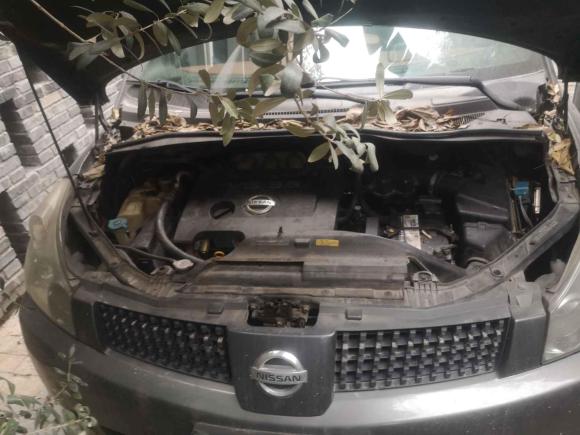 [成都·川G] 二手日产贵士2005款 3.5L