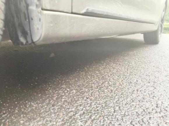 [杭州·浙B] 二手名爵MG62021款 Pro 1.5T 自动Trophy旗舰版