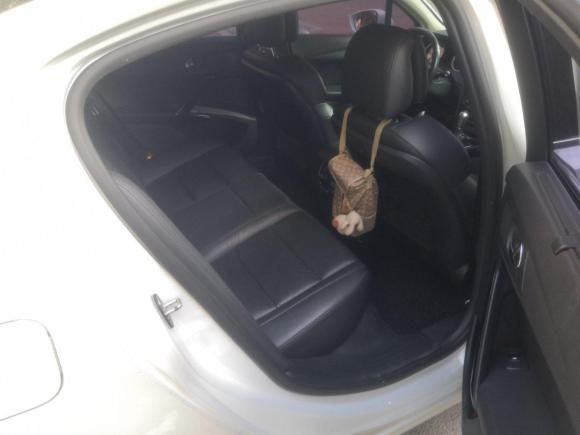 [佛山·粤E] 二手标致标致5082011款 2.3L 自动旗舰版