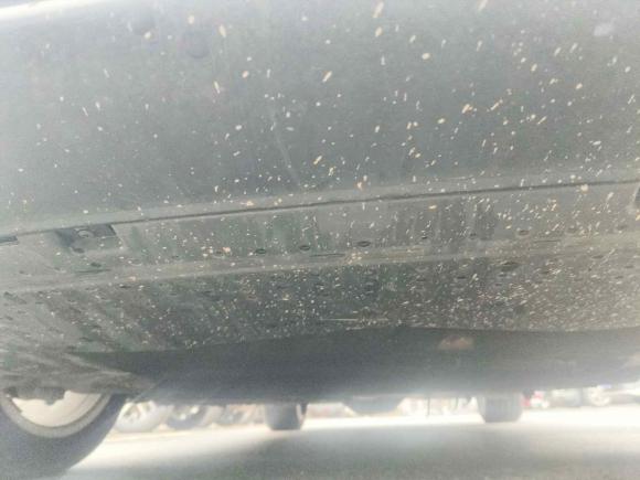 [南京·苏A] 二手奥迪奥迪A6L2019款 40 TFSI 豪华动感型