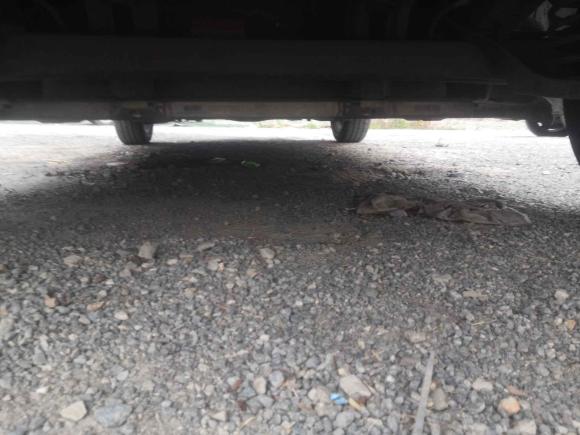 [温州·浙C] 二手欧拉欧拉白猫2020款 305km 豪华型