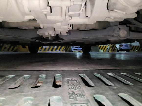 [温州·浙C] 二手欧拉欧拉黑猫2021款 351km 豪华型