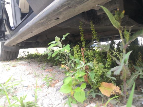 [青岛·鲁B] 二手路虎发现神行2016款 2.0T HSE