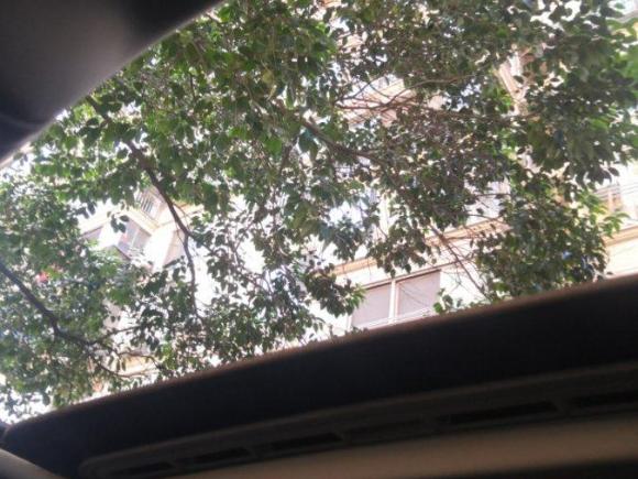 [上海·沪A] 二手大众帕萨特2011款 1.8TSI DSG尊荣版