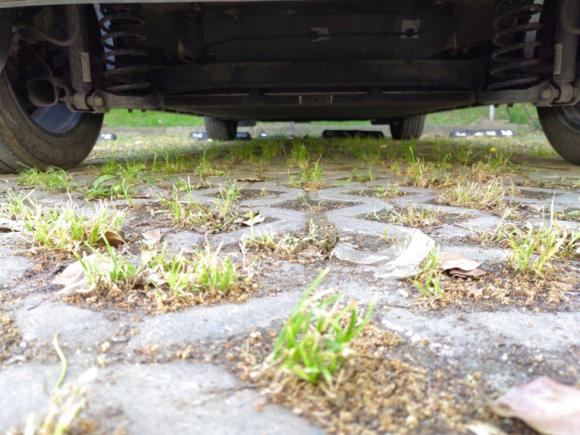 [上海·沪A] 二手比亚迪海豚2021款 405km 时尚版