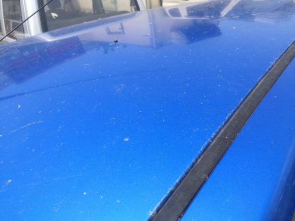 [上海·苏H] 二手日产骊威2008款 1.6L 自动炫能型