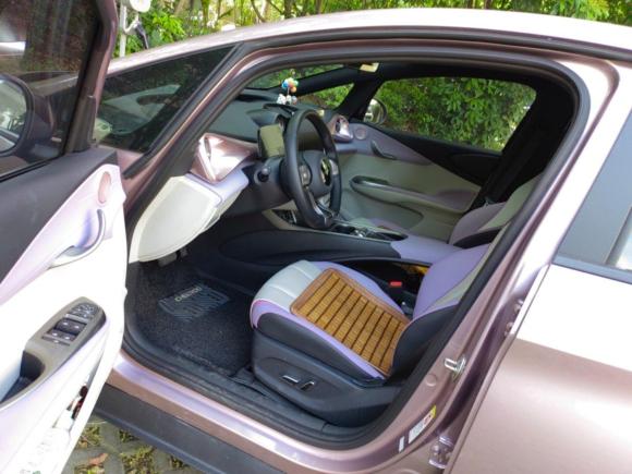 [上海·沪A] 二手比亚迪海豚2021款 405km 时尚版