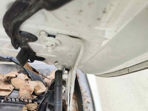 [温州·浙C] 二手宝马宝马3系2018款 320i M运动曜夜版