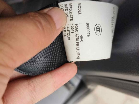 [无锡·苏B] 二手广汽传祺传祺M82020款 领航款 390T 旗舰版