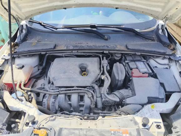 [温州·浙C] 二手福特福睿斯2019款 改款 1.5L 自动悦享型 国VI