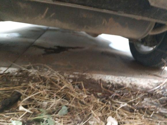 [济南·鲁A] 二手哈弗哈弗H22016款 红标 1.5T 手动两驱精英型