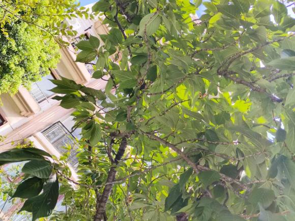 [上海·沪G] 二手福特翼虎2013款 2.0L GTDi 四驱尊贵型