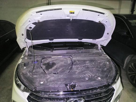 [杭州·浙A] 二手奇瑞艾瑞泽5 PLUS2021款 小泽 1.5T CVT智PLUS