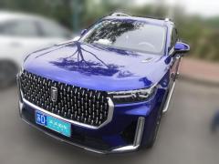 [常州·苏D]奔腾&nbsp;&nbsp;奔腾T99&nbsp;&nbsp;2020款20TD自动尊享型