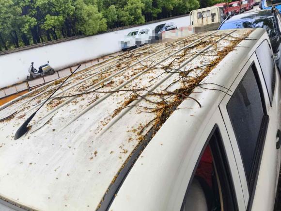 [上海·皖K] 二手五菱汽车五菱宏光2015款 1.5L S 基本型国V