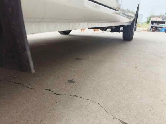 [南京·苏L] 二手开瑞江豚2023款 宽体版 国轩高科40.55kWh