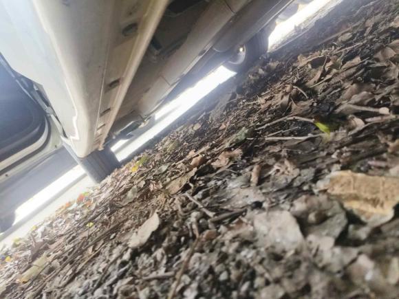 [常州·鄂F] 二手铃木启悦2015款 1.6L 自动乐享型