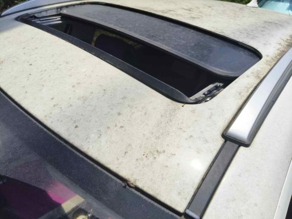 [温州·贵C] 二手奔腾奔腾X402017款 1.6L 手动豪华型