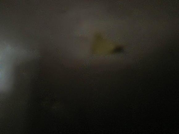 [深圳·粤B] 二手本田凌派2015款 1.8L 自动豪华版