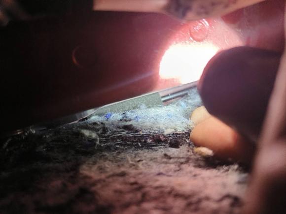 [成都·苏K] 二手马自达马自达3 昂克赛拉2017款 三厢 1.5L 自动舒适型 国V