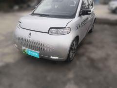 [温州·浙C] 欧拉欧拉白猫2020款 305km 豪华型