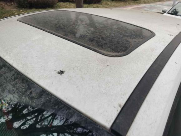 [西安·陕A] 二手福特福克斯2015款 两厢 1.6L 自动风尚型