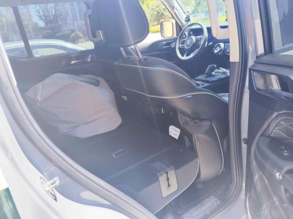 [嘉兴·浙G] 二手坦克坦克3002021款 城市版 2.0T 很有型