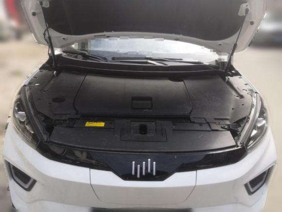 [合肥·皖A] 二手威马汽车威马EX52020款 EX5-Z Fun动感版