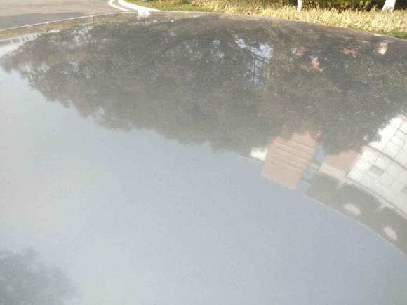 [南昌·赣A] 二手斯柯达明锐2014款 1.6L 自动逸杰版