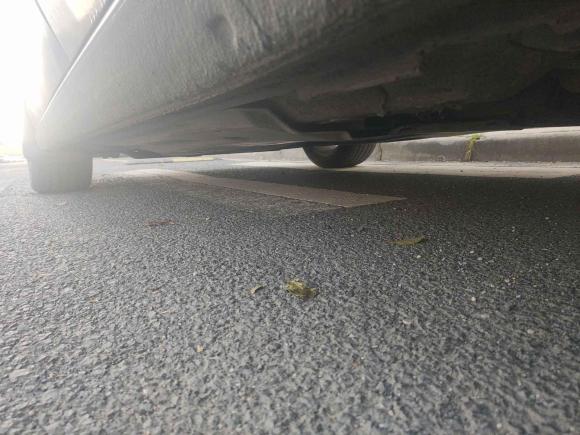 [常州·苏D] 二手大众凌渡2015款 330TSI DSG舒适版