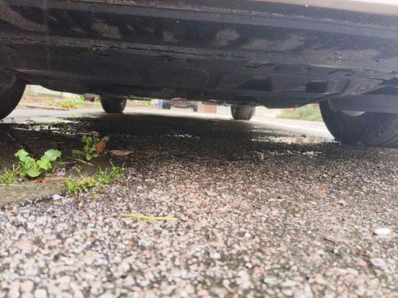 [嘉兴·浙F] 二手大众甲壳虫2015款 180TSI