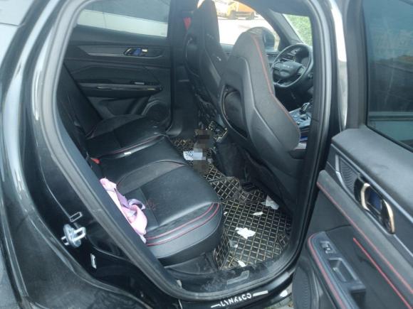 [苏州·苏U] 二手领克领克052020款 2.0TD 四驱劲Halo