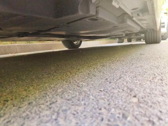 [杭州·浙A] 二手丰田亚洲龙2019款 双擎 2.5L 豪华版 国VI